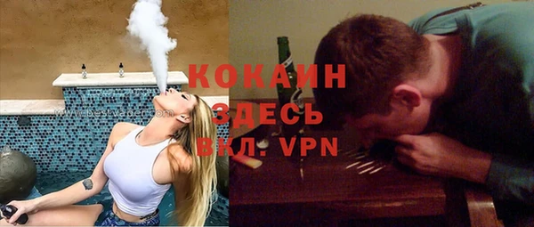 стафф Алексин