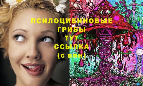 стафф Алексин
