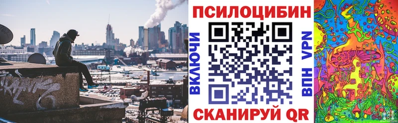 Галлюциногенные грибы Magic Shrooms  Вилючинск 